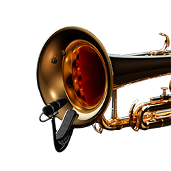 Instrumentiniai mikrofonai