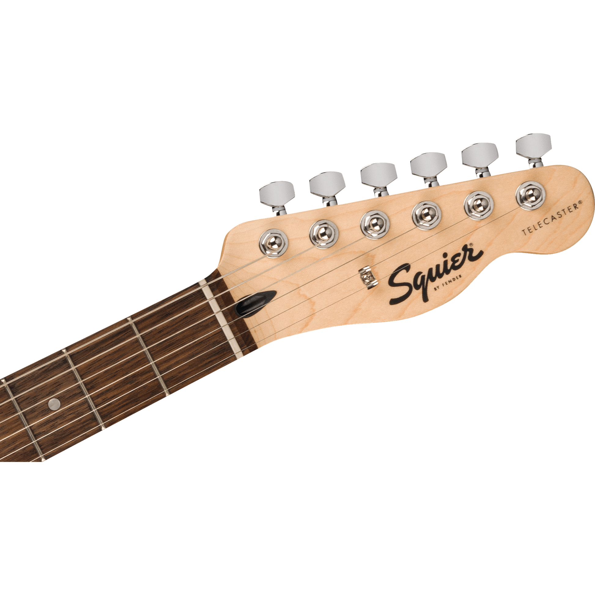 FENDER SQUIER SONIC TELECASTER TOR Elektrinė gitara