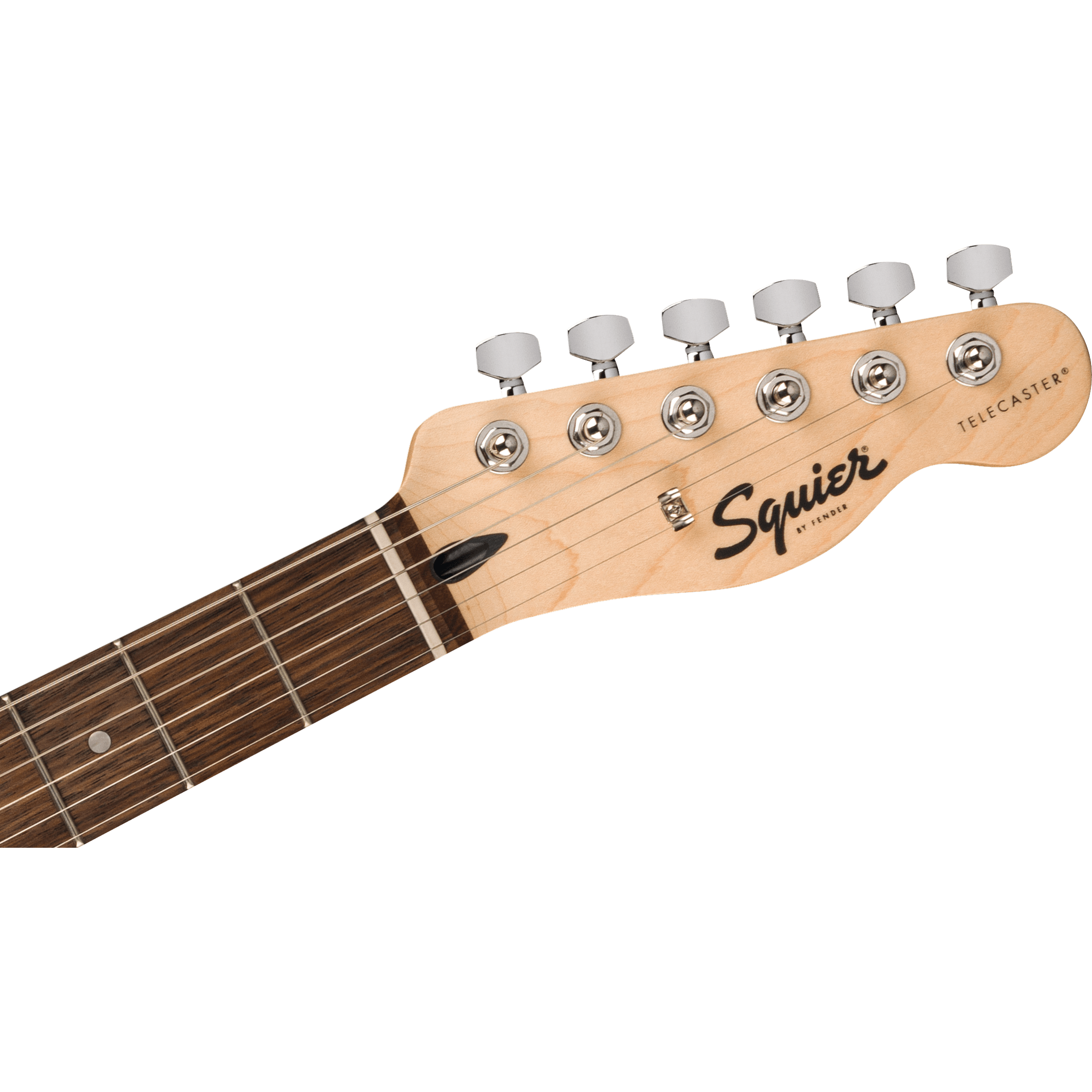 FENDER SQUIER SONIC TELECASTER TOR Elektrinė gitara