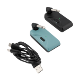 FENDER TELEPATH Belaidė sistema