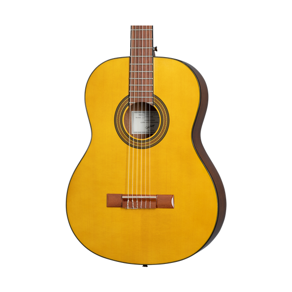 EPIPHONE PRO-1 CLASSIC Klasikinė gitara