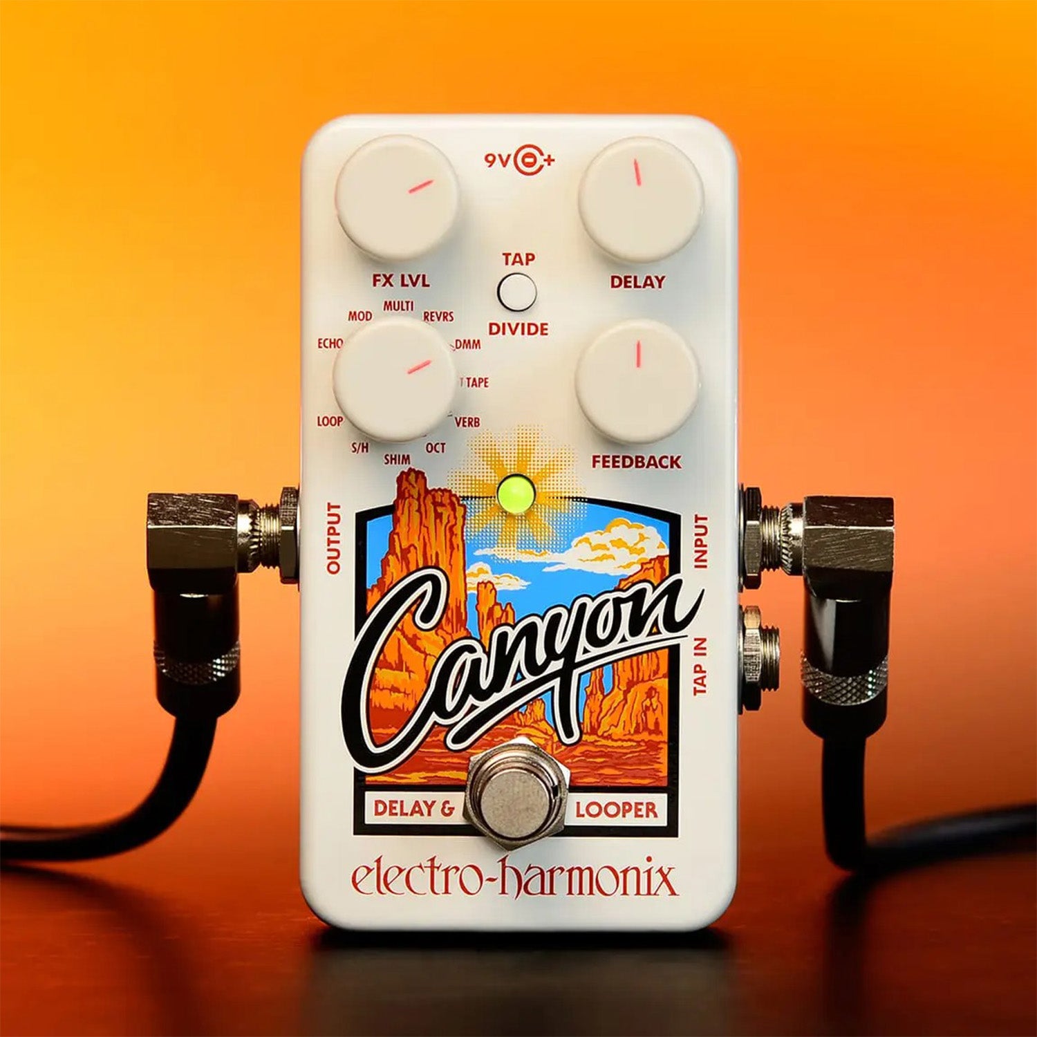 ELECTRO HARMONIX CANYON Delay & Looper