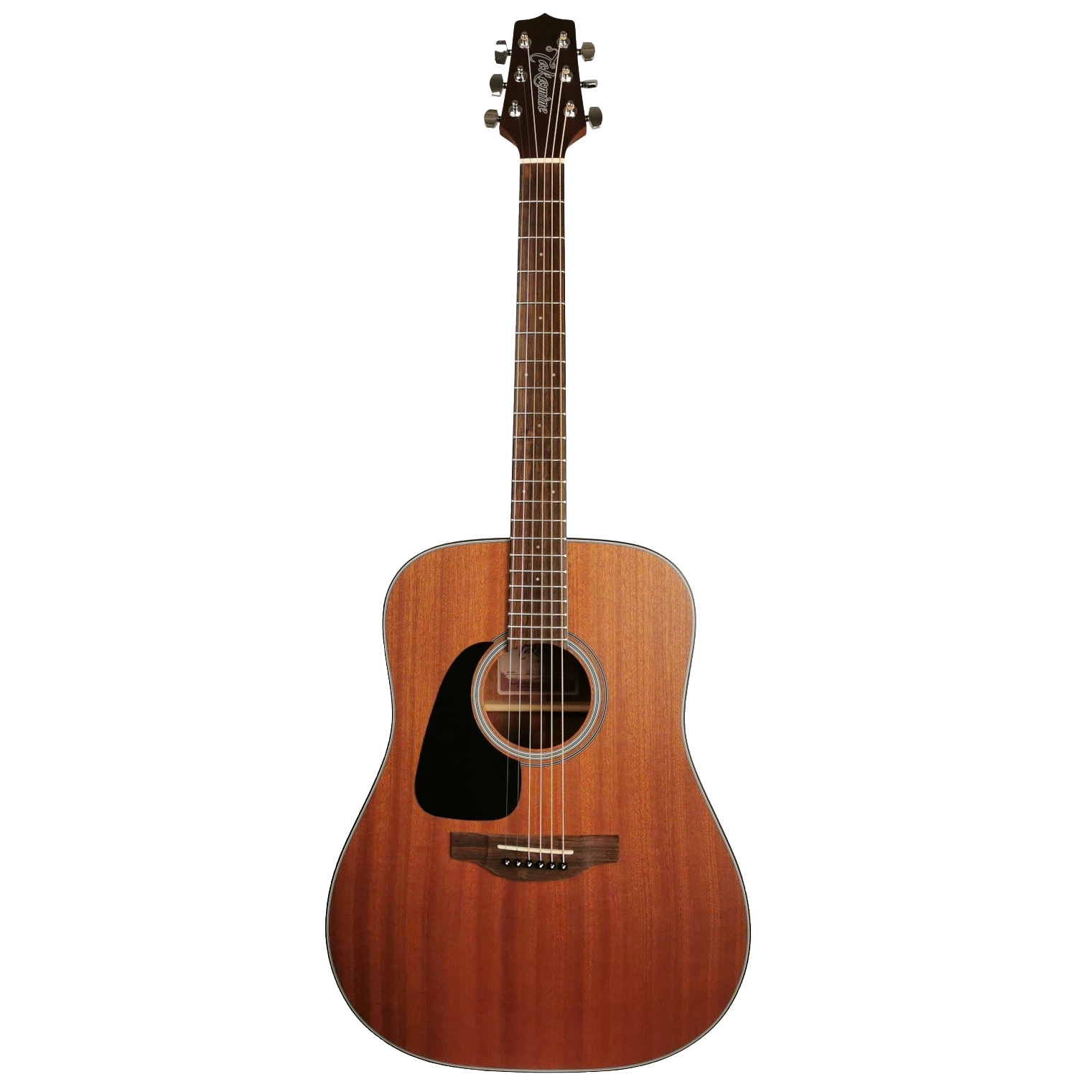 Takamine GD11M-NS-L