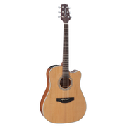TAKAMINE GD20CE-NS