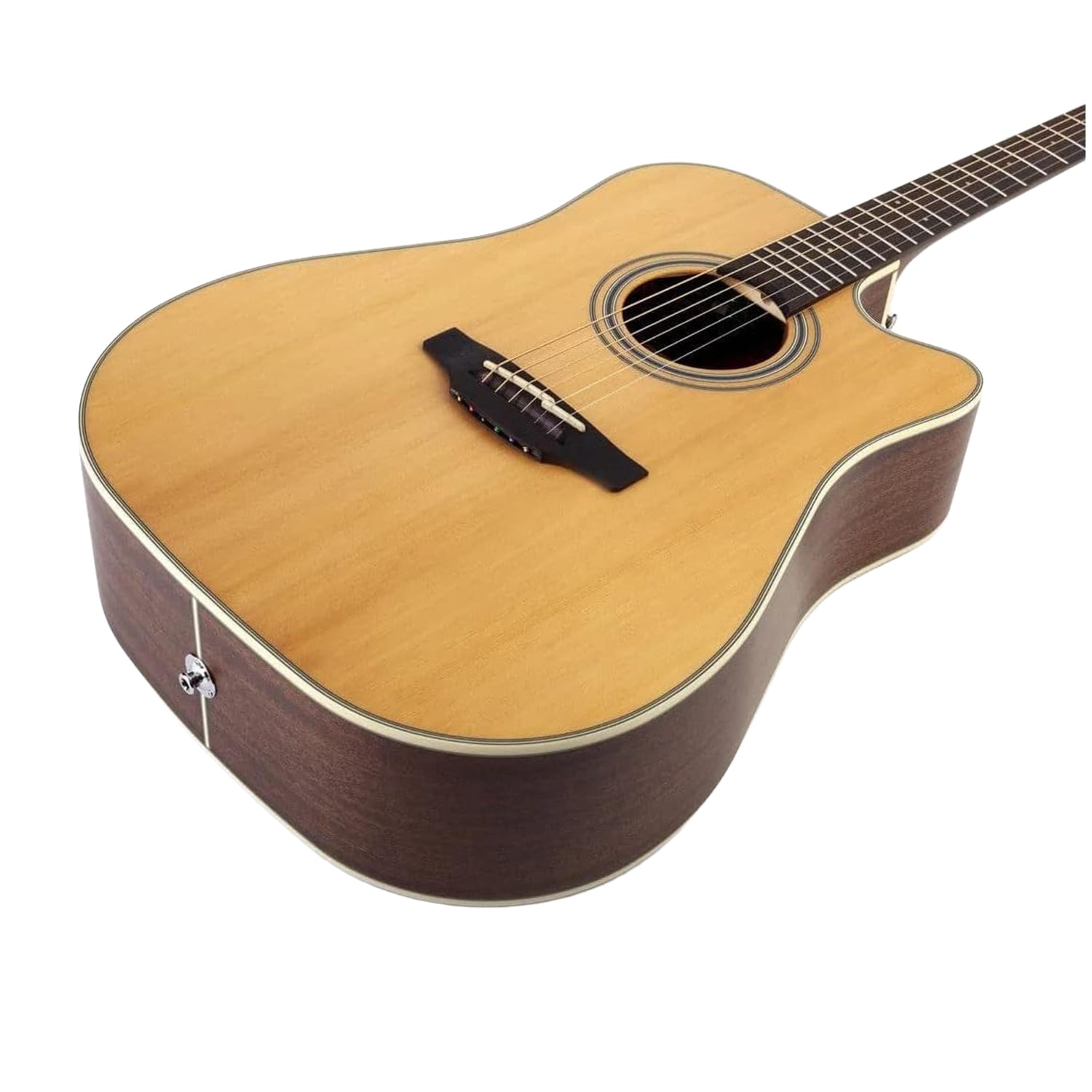 TAKAMINE GD20CE-NS