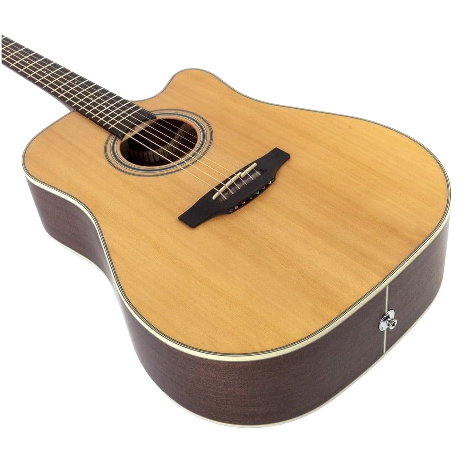TAKAMINE GD20CE-NS