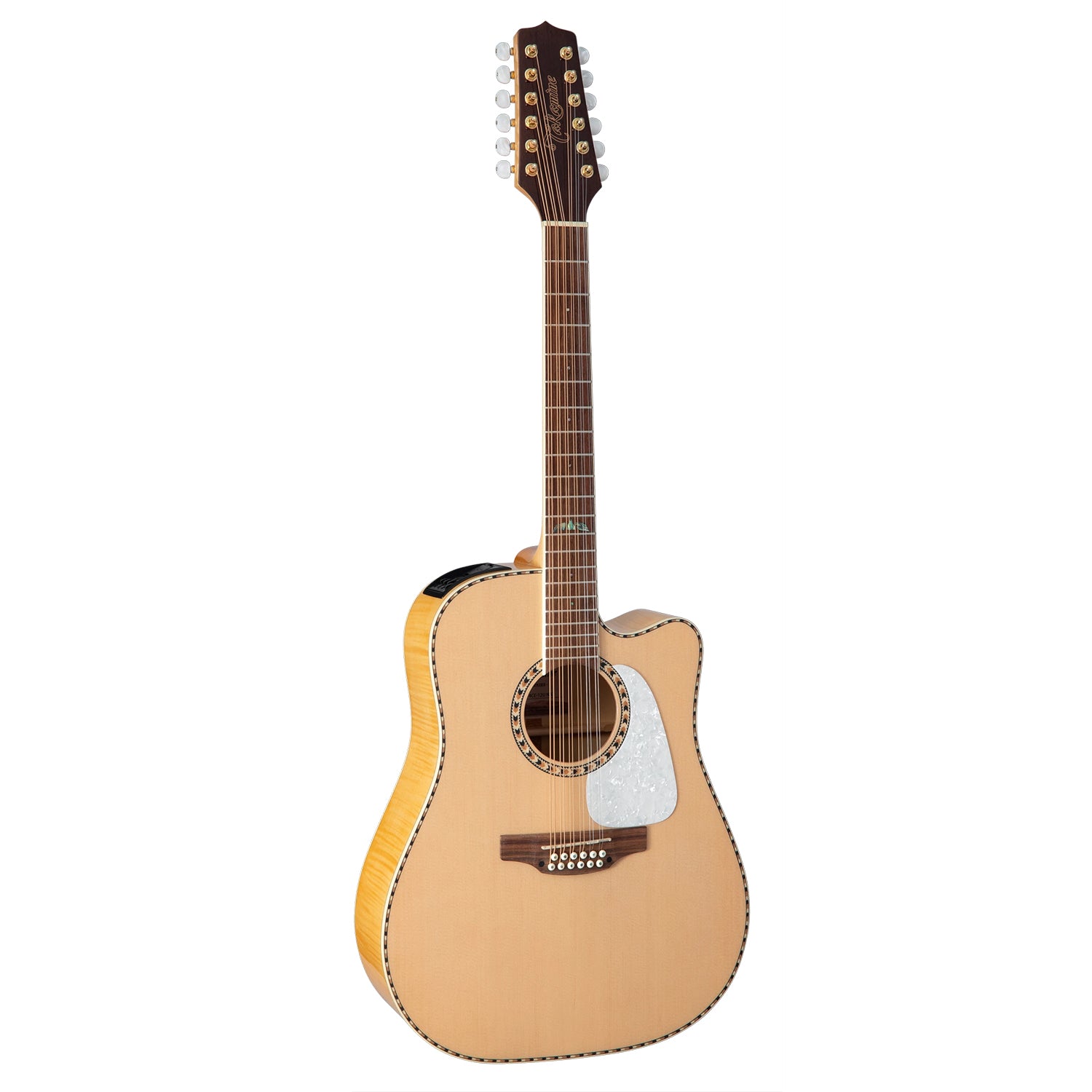 Takamine GD74CE-12U