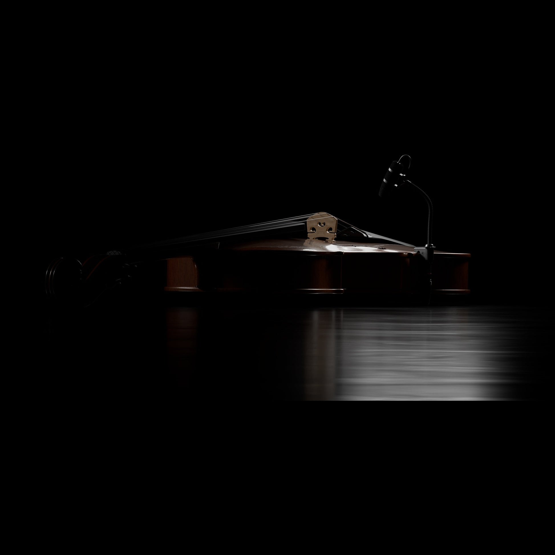 DPA 4099-DP-1-199-V Mikrofonas smuikui