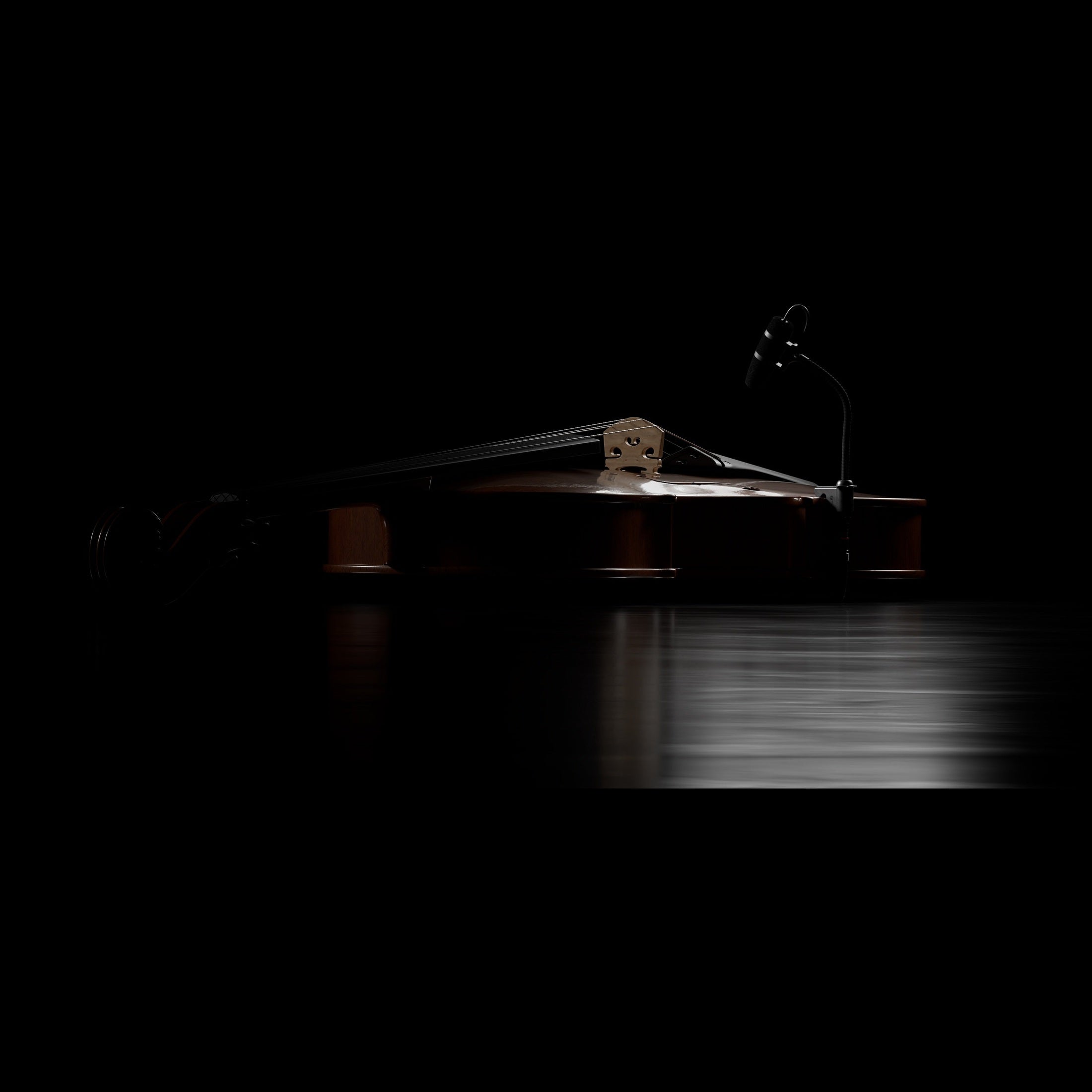 DPA 4099-DP-1-199-V Mikrofonas smuikui