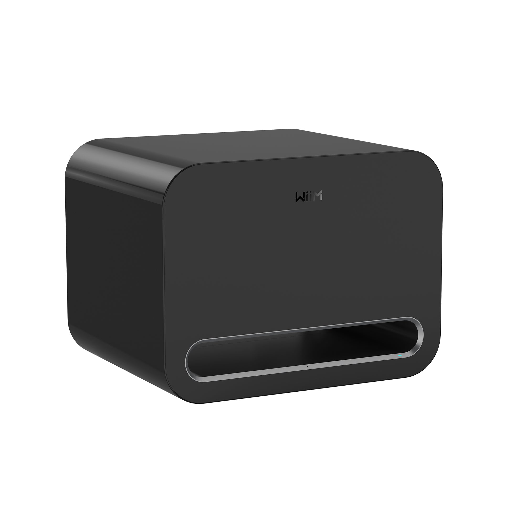 WiiM SUB Pro Subwoofer