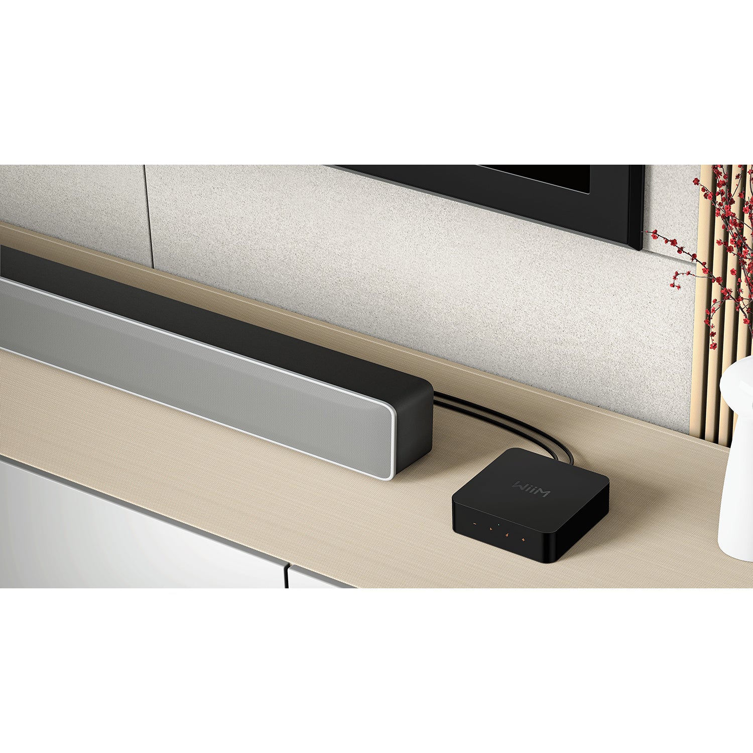 WiiM PRO PLUS tinklo grotuvas – STAGE IQ