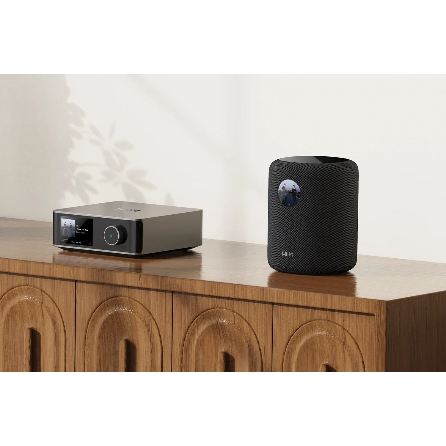 Wiim Sound Wireless Speaker