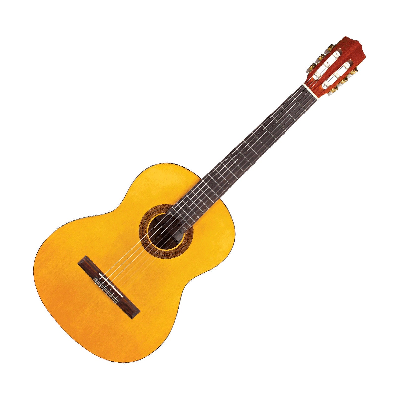 CORDOBA C1 GLOSS Klasikinė gitara