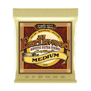 ERNIE BALL 2002 ACOUSTIC 13-56 Stygos