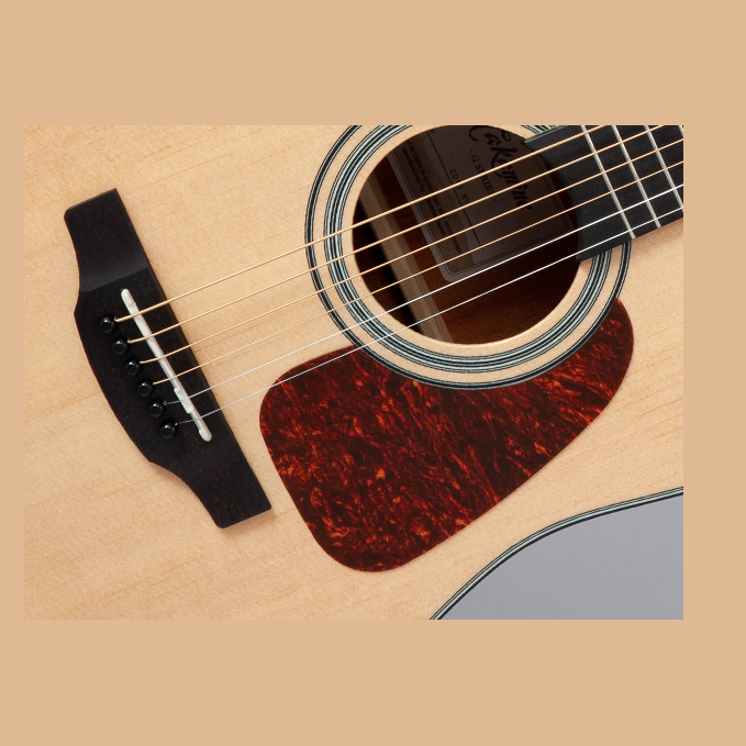 TAKAMINE GD10 NS Akustinė gitara