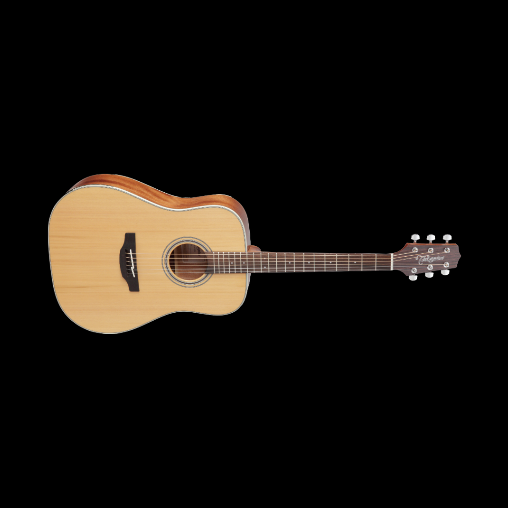 TAKAMINE GD20 NS Akustinė gitara