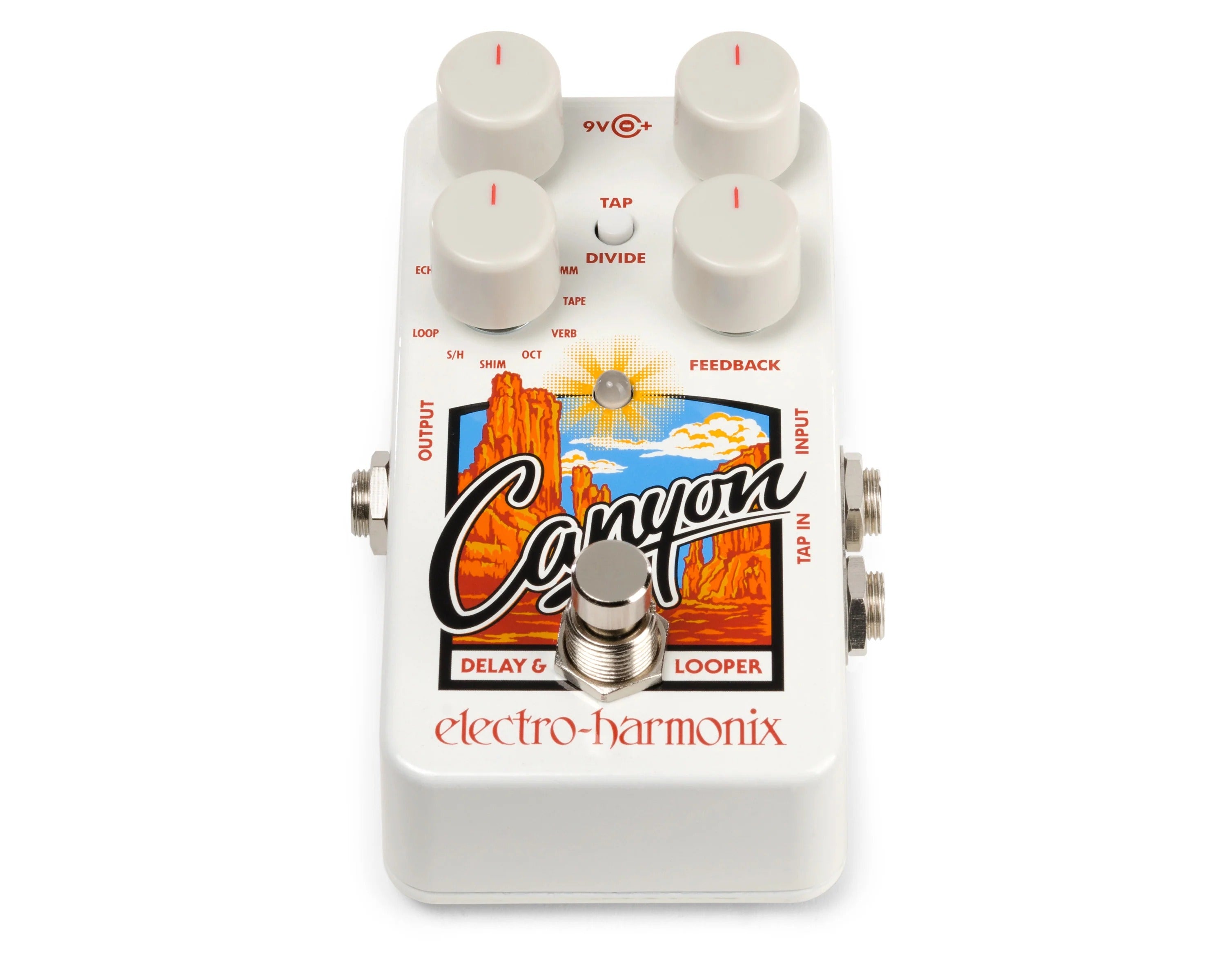 ELECTRO HARMONIX CANYON Delay & Looper