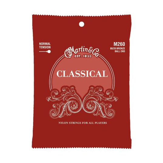 MARTIN M160 CLASSICAL HARD Stygos klasikinei gitarai