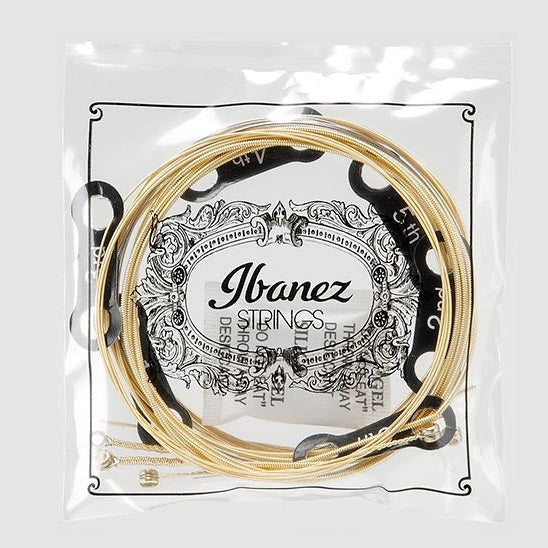 IBANEZ IACS6C 12-53 ACOUSTIC Stygos