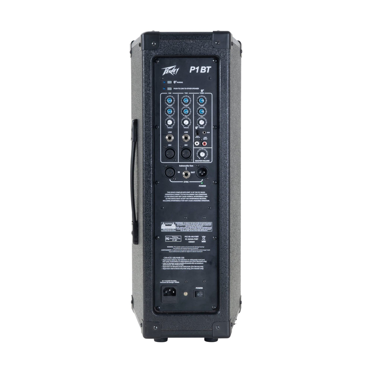 Peavey P1 BT aktyvi garso kolonėlė, galinė dalis ir jungtys