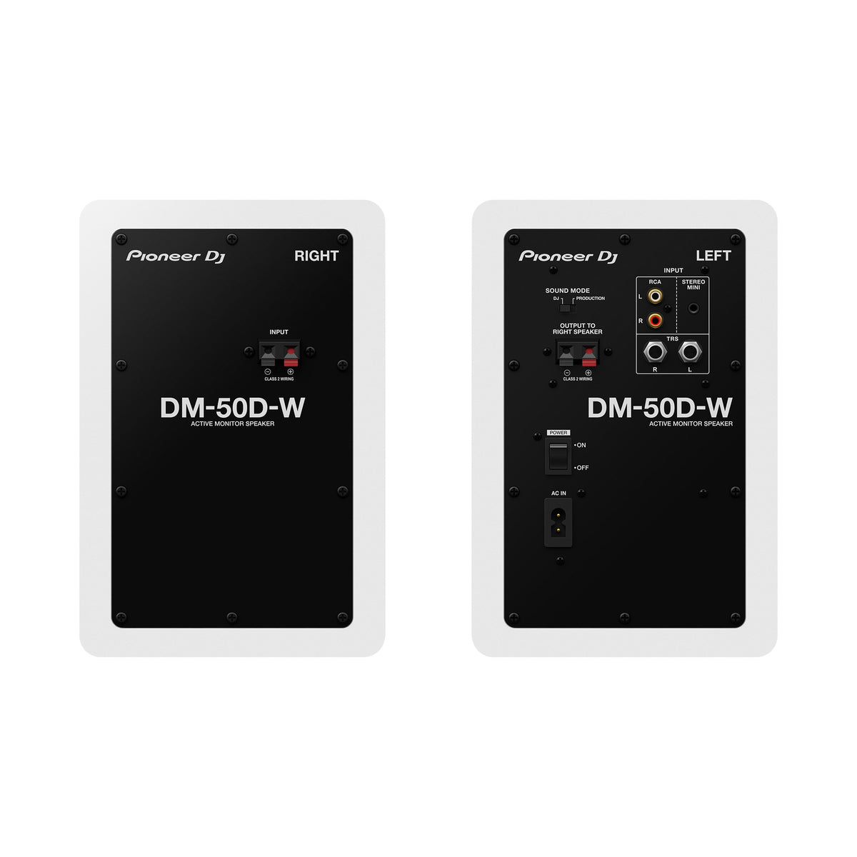Pioneer DJ DM-50D-W aktyvios garso kolonėlės, balta spalva, galinis skydelis ir jungtys