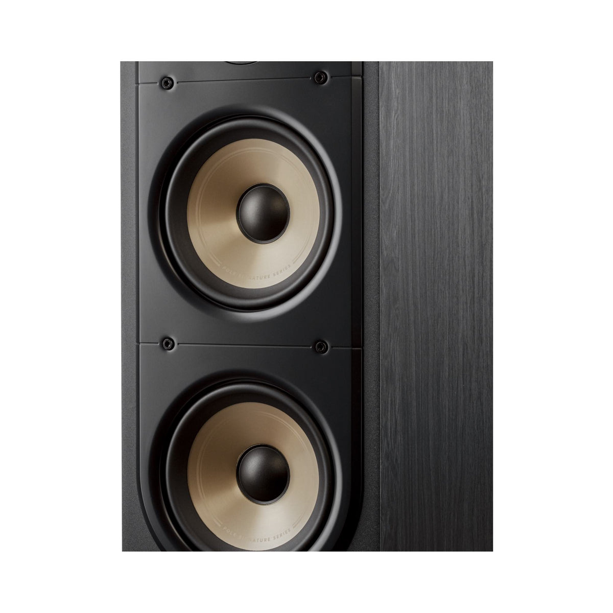 Polk Audio Signature Elite ES50 black floorstanding speaker, driver detail