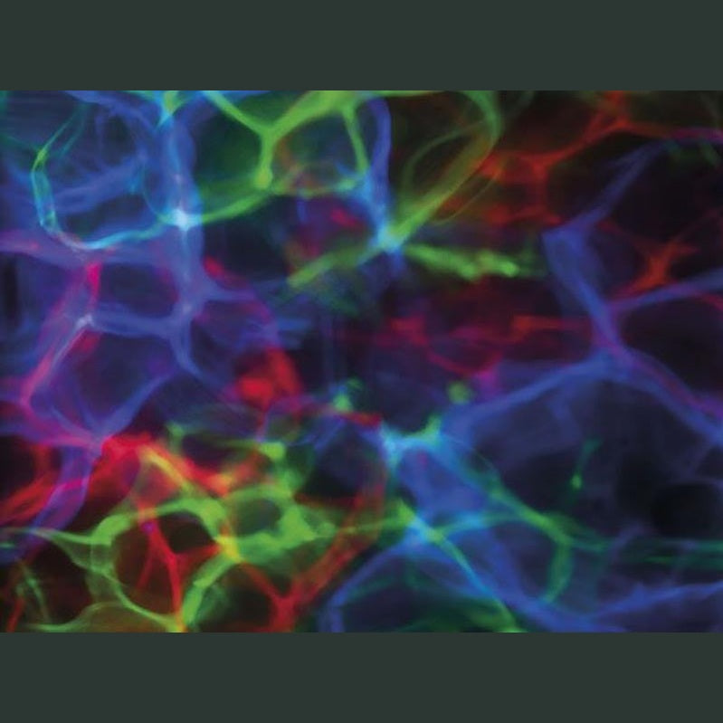 Showtec Dream Wave Prožektorius